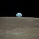 Illustration for article titled One Giant Leap For Mankind: Apollo 11 Moon Landing